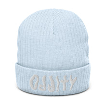 Load image into Gallery viewer, ODDITY LOGO RIBBED KNIT BEANIE (8 COLORS)
